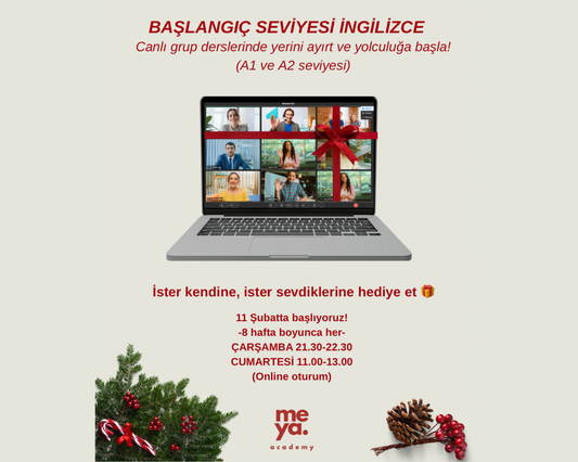 Başlangıç Seviyesi İngilizce Canlı & Grup Dersleri
