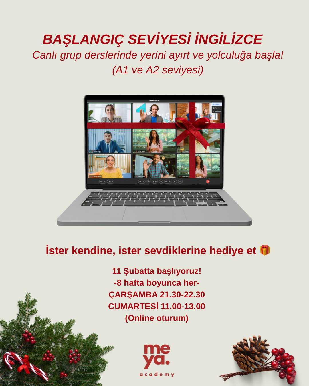 Başlangıç Seviyesi İngilizce Canlı & Grup Dersleri